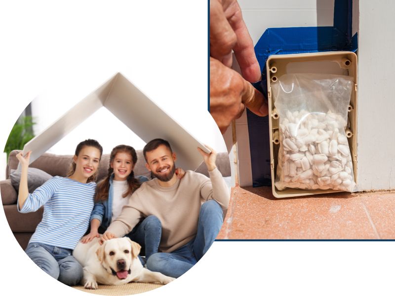PPC Termites 4 1 theme builder