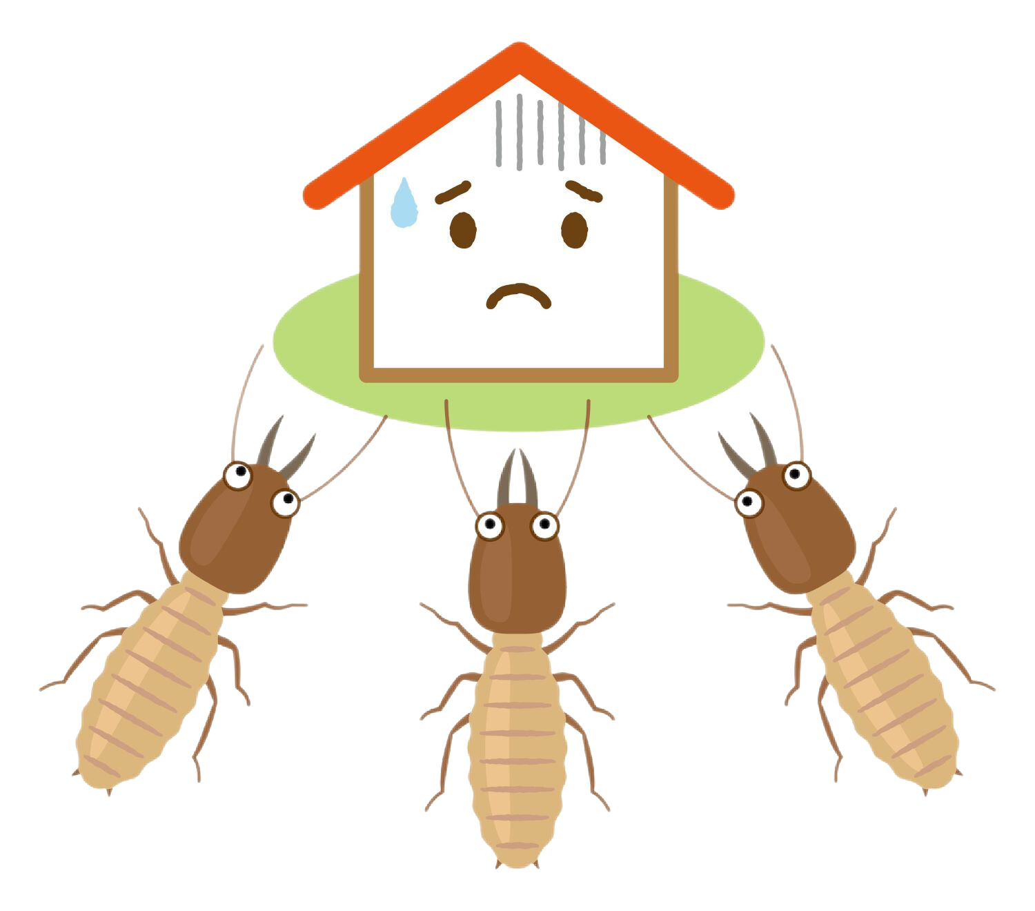 PPC Termites 4 2 theme builder